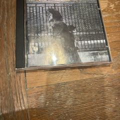 Neil Young - After the Gold Rush