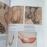 An Introduction to Drawing the Nude Image 7