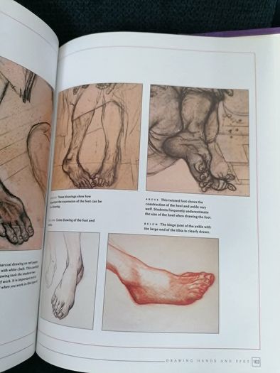 An Introduction to Drawing the Nude