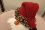 Christmas Robin