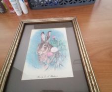 hare picture by A. blackmore