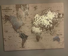 picture of the world silver in colour