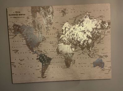 picture of the world silver in colour