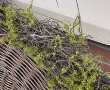 New 120cm length rustic twig and moss garland