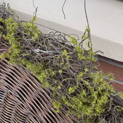 New 120cm length rustic twig and moss garland