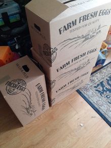 free box