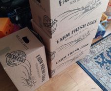 free box