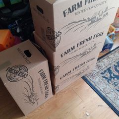 free box