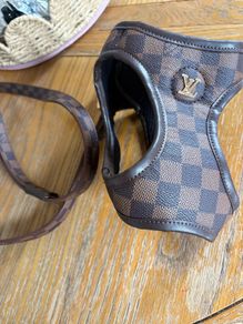 Lv designer dog harness and lead