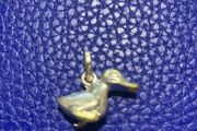 Sterling Silver Charm Pendant