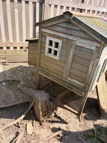 Chicken Coop