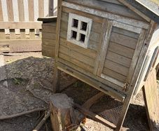 Chicken Coop