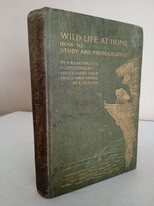 Wild Life at Home: How to Study and Photograph It by R. Kearton (GT806)