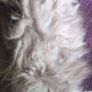 Primark coat size L Image 7