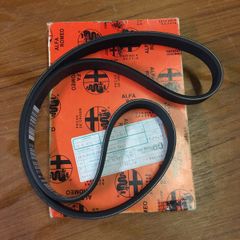 Auxiliary Belt (Alfa Romeo 156 2.4JTD)