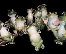Beautiful frog collection