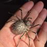 Vintage Irish Spider Brooch Image 4