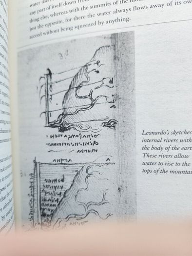 Stephen Jay Gould. Leonardo's Mountain of claims and the Diet of Worms. Hardback With Dustjacket In Good Condition.