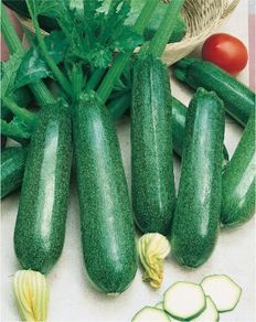 (M) Marrow seeds Nefertiti 1g (125333)