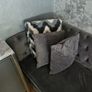 couch Image 3