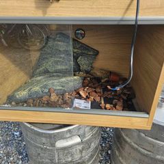 reptile tank enclosure