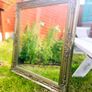 Large Vintage gold mirror Image 2