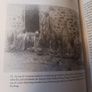 Cannabis Britannica / Empire,Trade & Prohibition, 1800 - 1928 / James H. Mills / Oxford University Press/ 1st edition, / 2003 Image 9