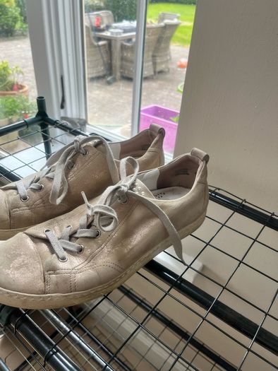 Paul Green Trainers