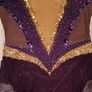 rhythmic gymnastics Image 2