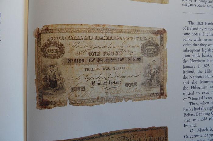 Old Hard Back Book Root And Branch Allied Irish Bank, Yesterday, Today, Tomorrow, Published In 1979  In Perfect Condition !