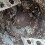 Belle Cement Mixer Image 6