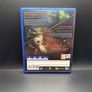 Planescape Torment & Icewind Dale Enhanced Edition Ps4 Image 4
