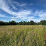 Hay Bales Image 4