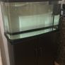 Fish Tank Image 3