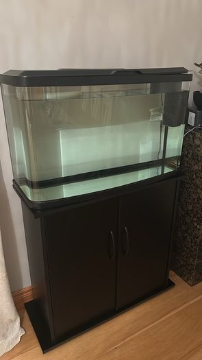 Fish Tank