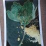 Art/ Picture's Image 3