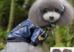 NEW stylish waterproof leather effect jacket