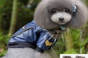NEW stylish waterproof leather effect jacket