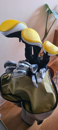 golf set (vantage clubs)