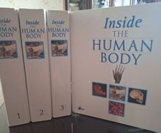 FREE "Inside The Human Body" Collection