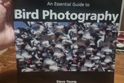 An Essential Guide to Bird Photography (Paperback)