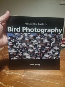 An Essential Guide to Bird Photography (Paperback)