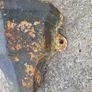 cast iron Image 2