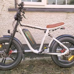 Electric Bicycle