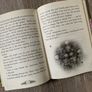 Glitterwings Academy GA Book Image 3