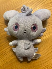 Pokemon teddy