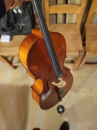 3/4 Primavera Prima 200 Cello - Full Outfit with New Bag, Bow, Strings - Limerick