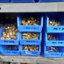 Nuts-bolts-brass-stainless Image 5