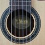 Valencia | VC704CE | Master Luthier Nylon String Guitar | with Pickup Image 9