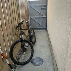 carerra mountain bike